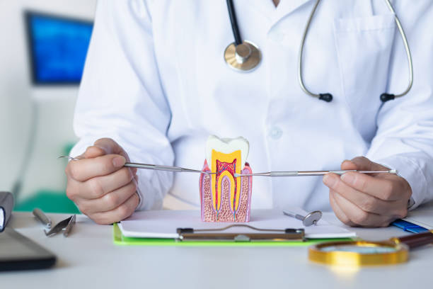 Best Emergency Gum Treatment in Salmon Brook, CT